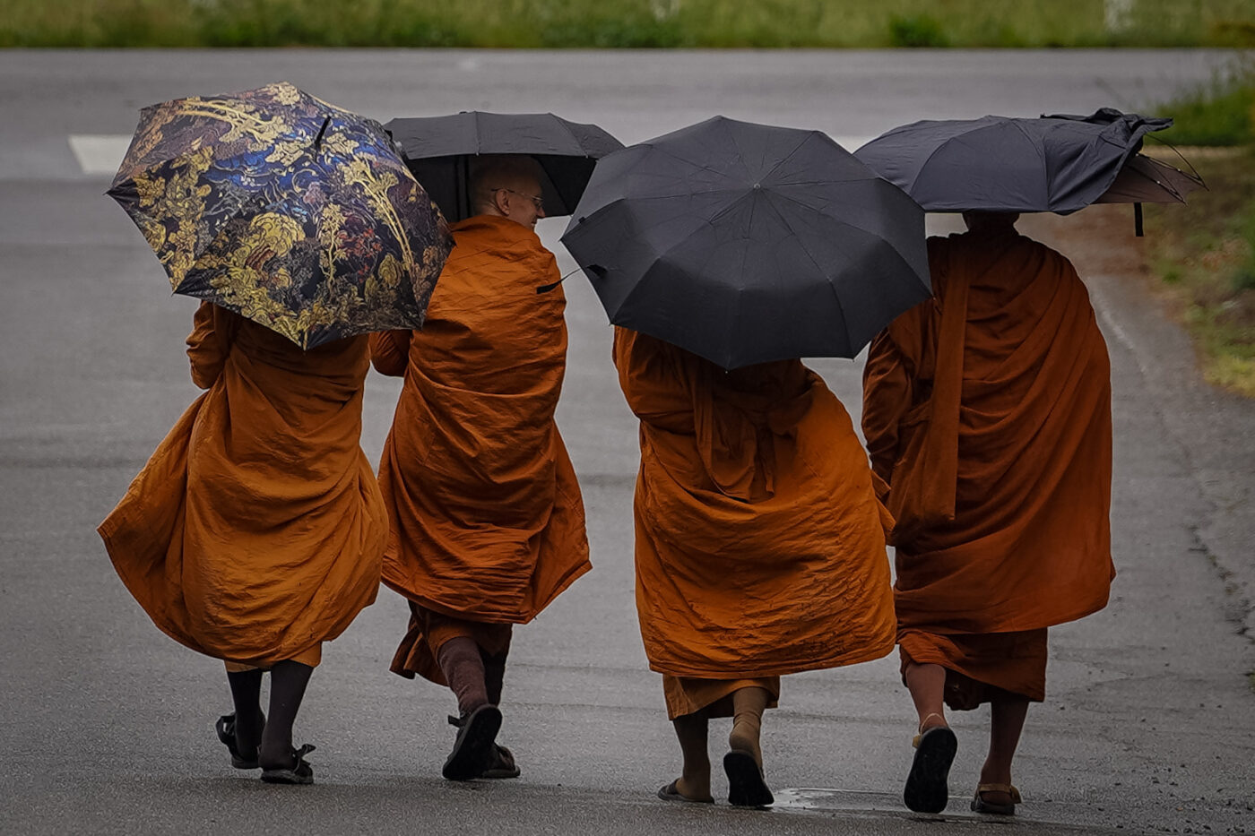 The venerable visiting monastics brave the rainy Seattle weather with our Clear Mountain monks