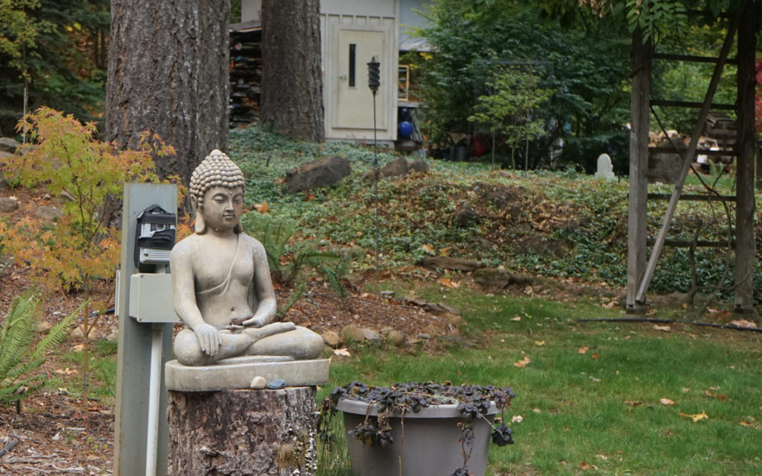 Visiting Ajahn Pasanno and the Pacific Hermitage