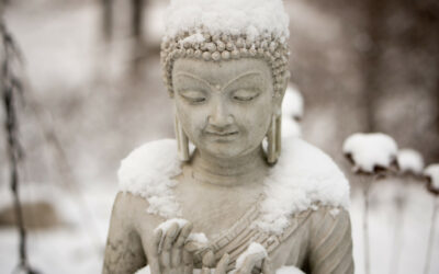 New Year’s Eve All-Night Meditation Vigil, Clear Mountain Receives 501(c)3 Status, Gathering 10 Million Mantras & More!